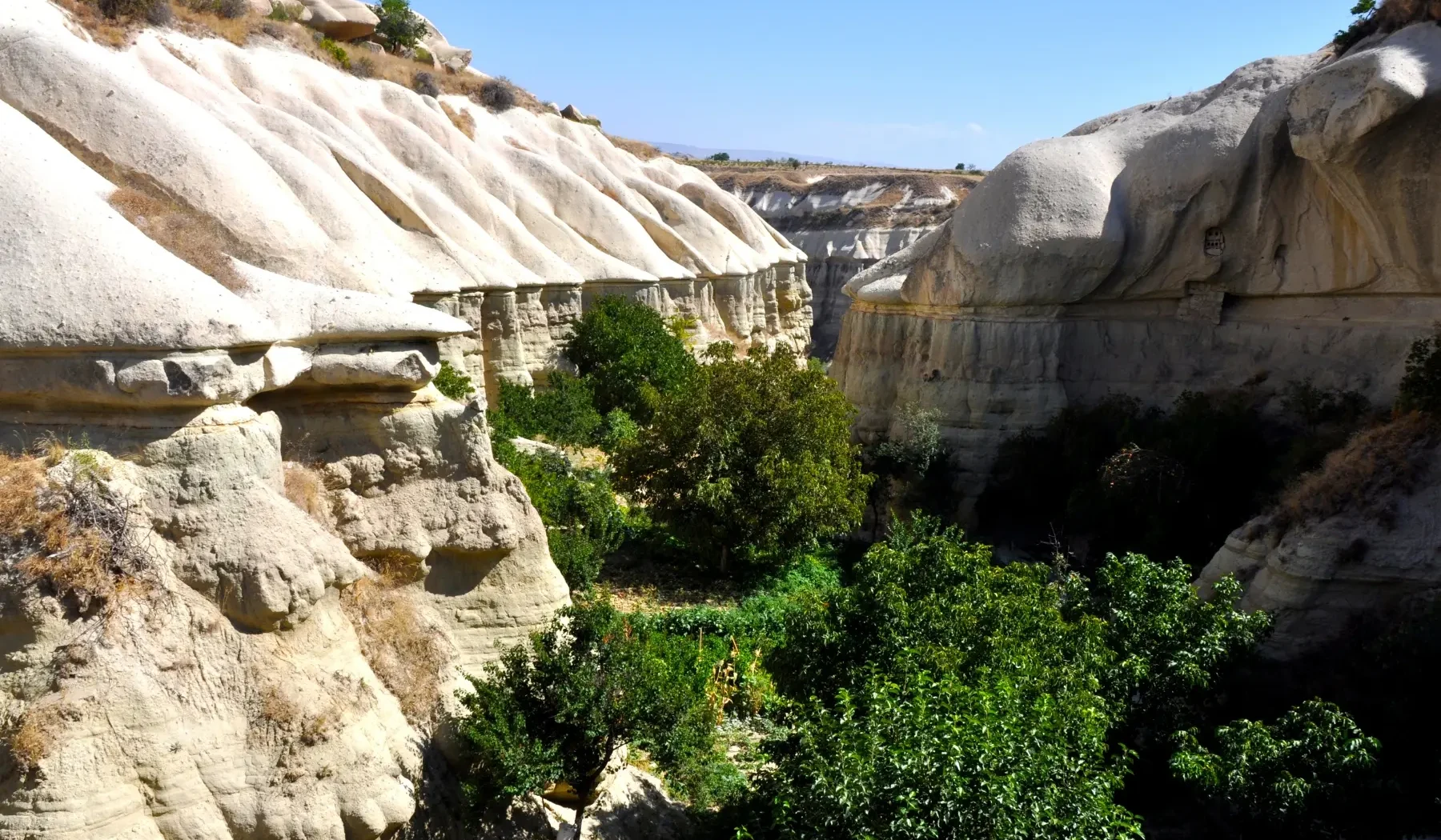 Cappadocia Green 102