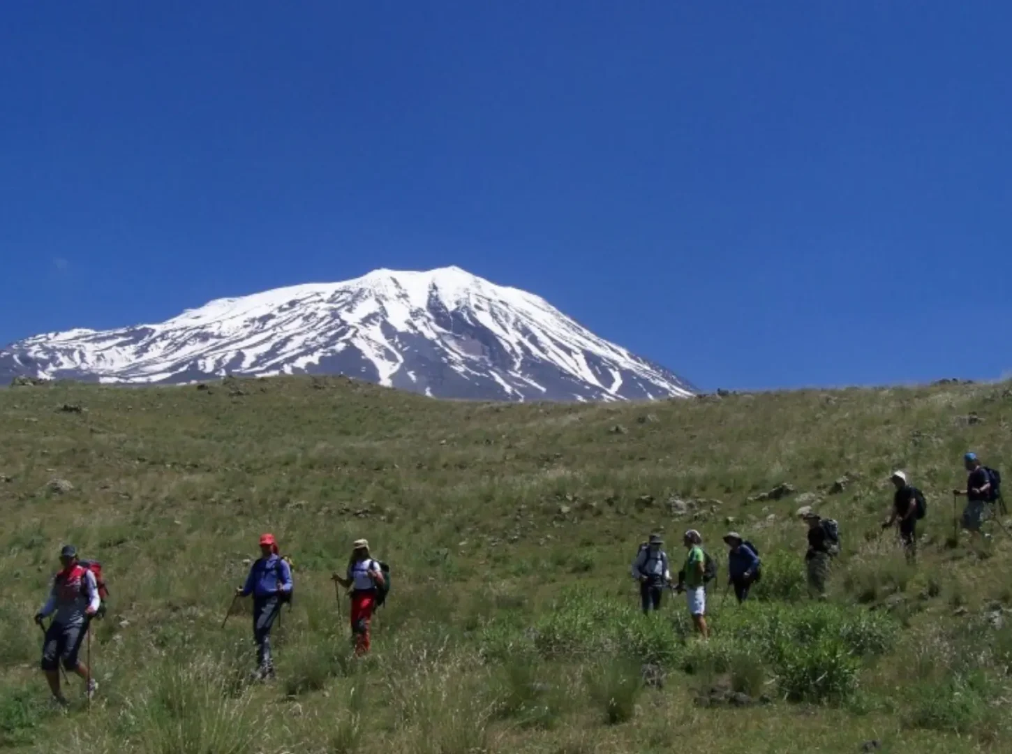 Ararat 12