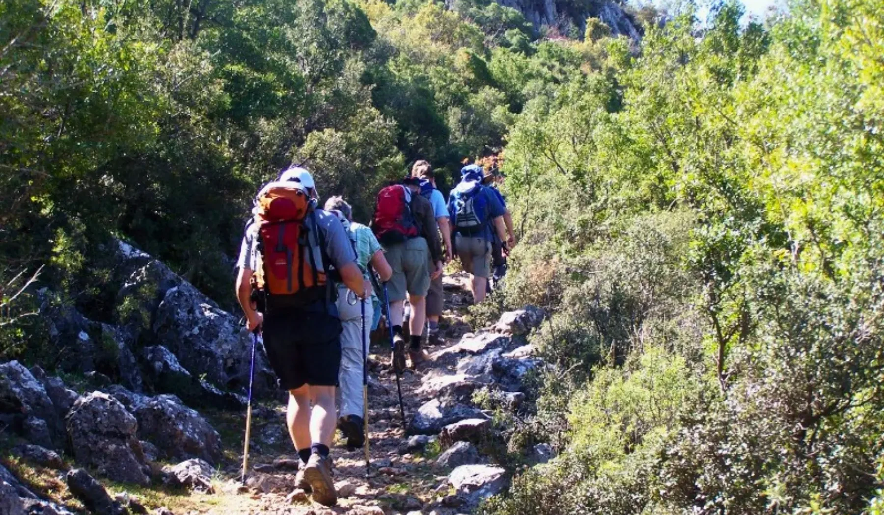 Echoes of the Carian Way 10