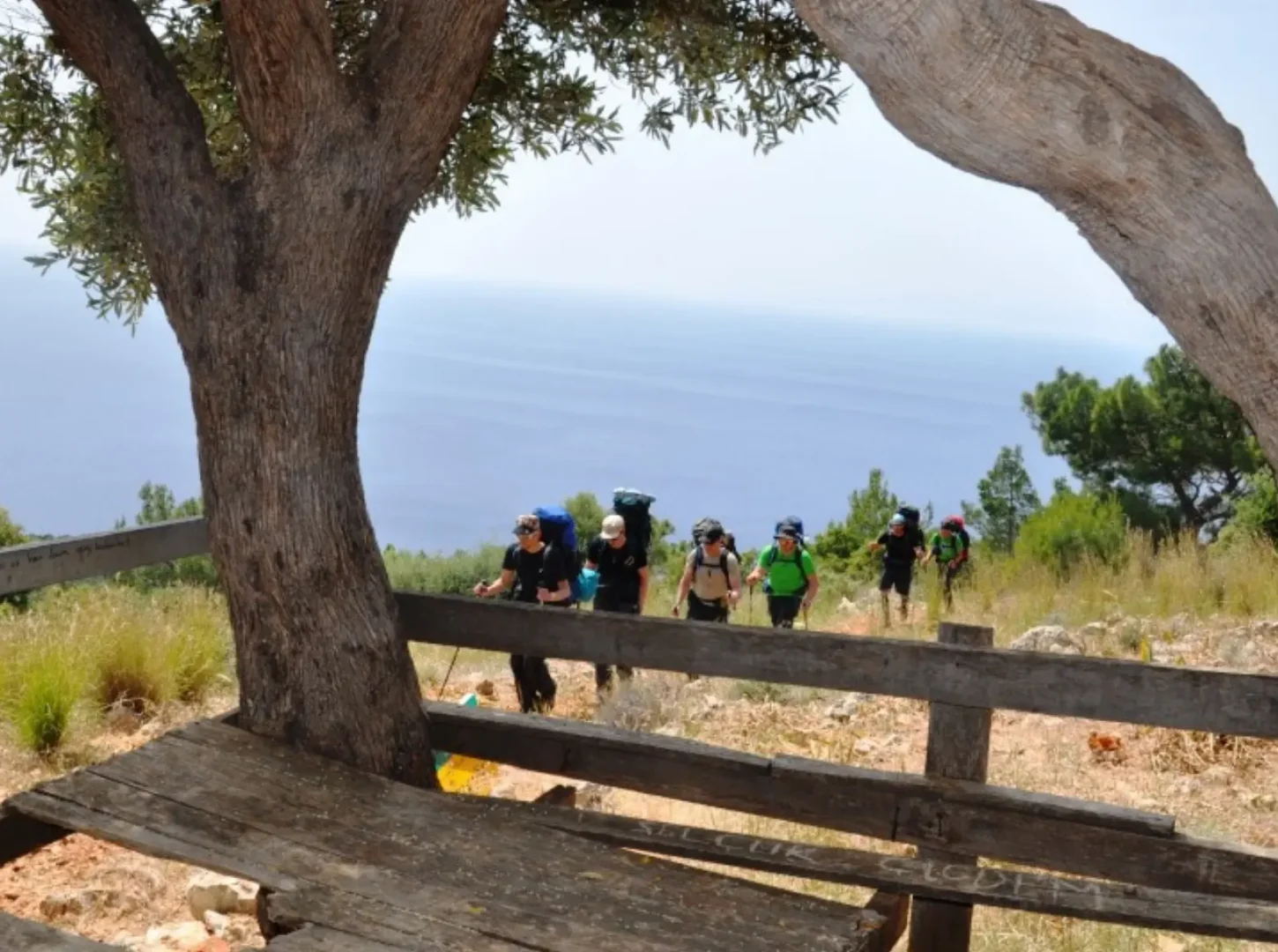 Echoes of the Carian Way 4