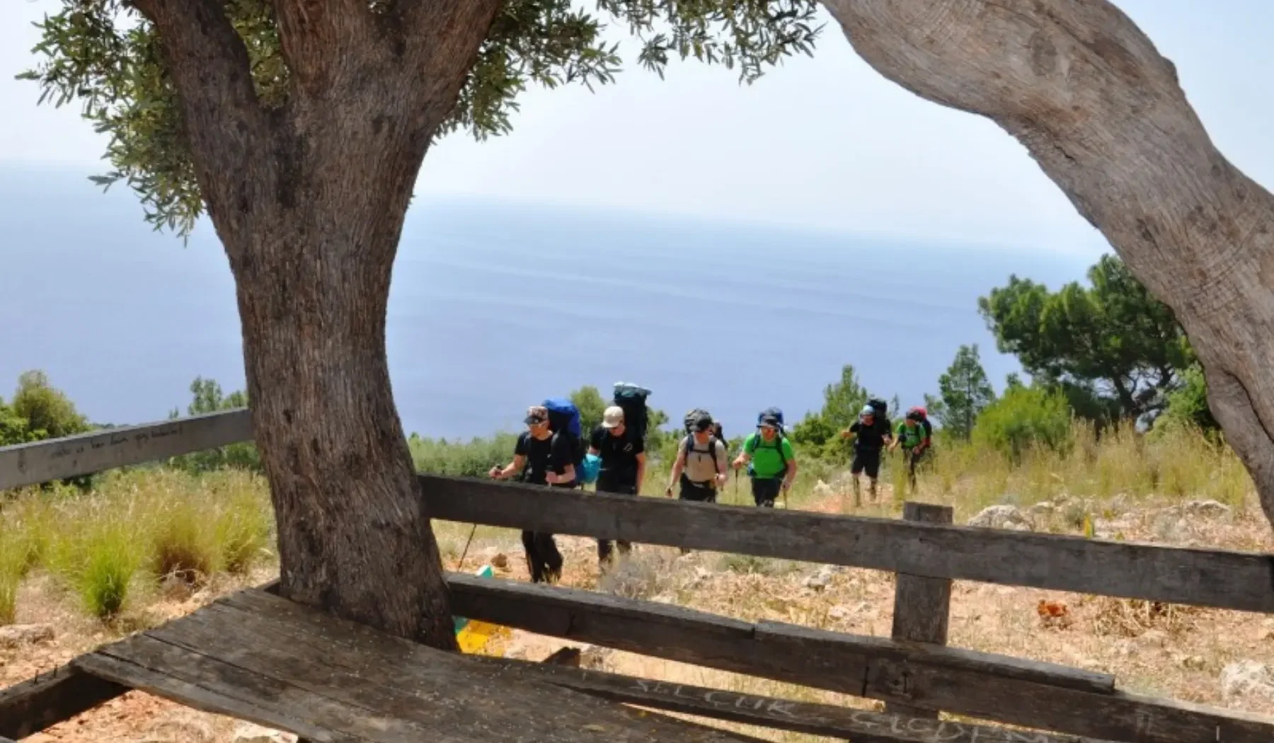 Echoes of the Carian Way 4