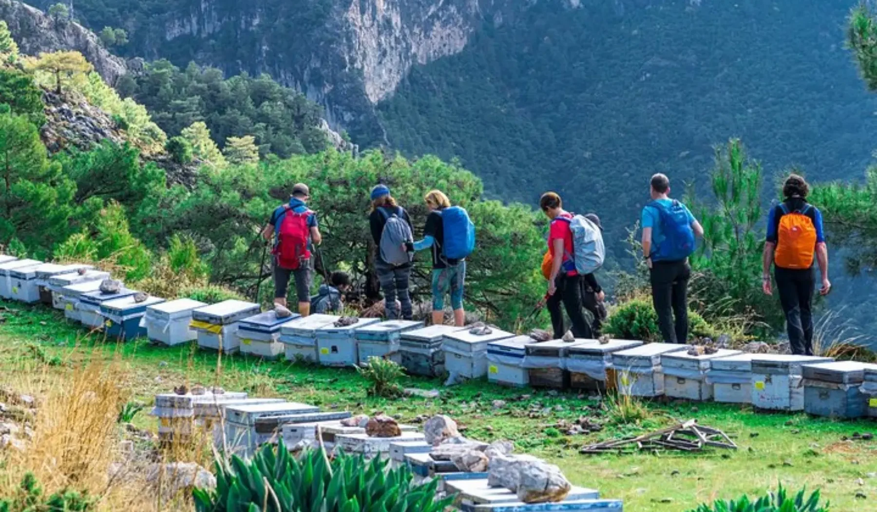 Lycian Way & Fethiye Bay Adventure_ 4