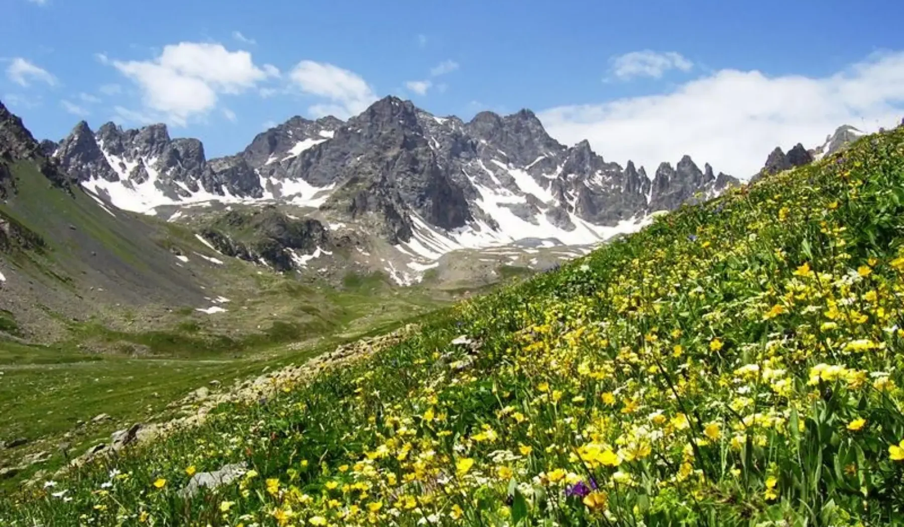 Peaks & Plateaus (2)