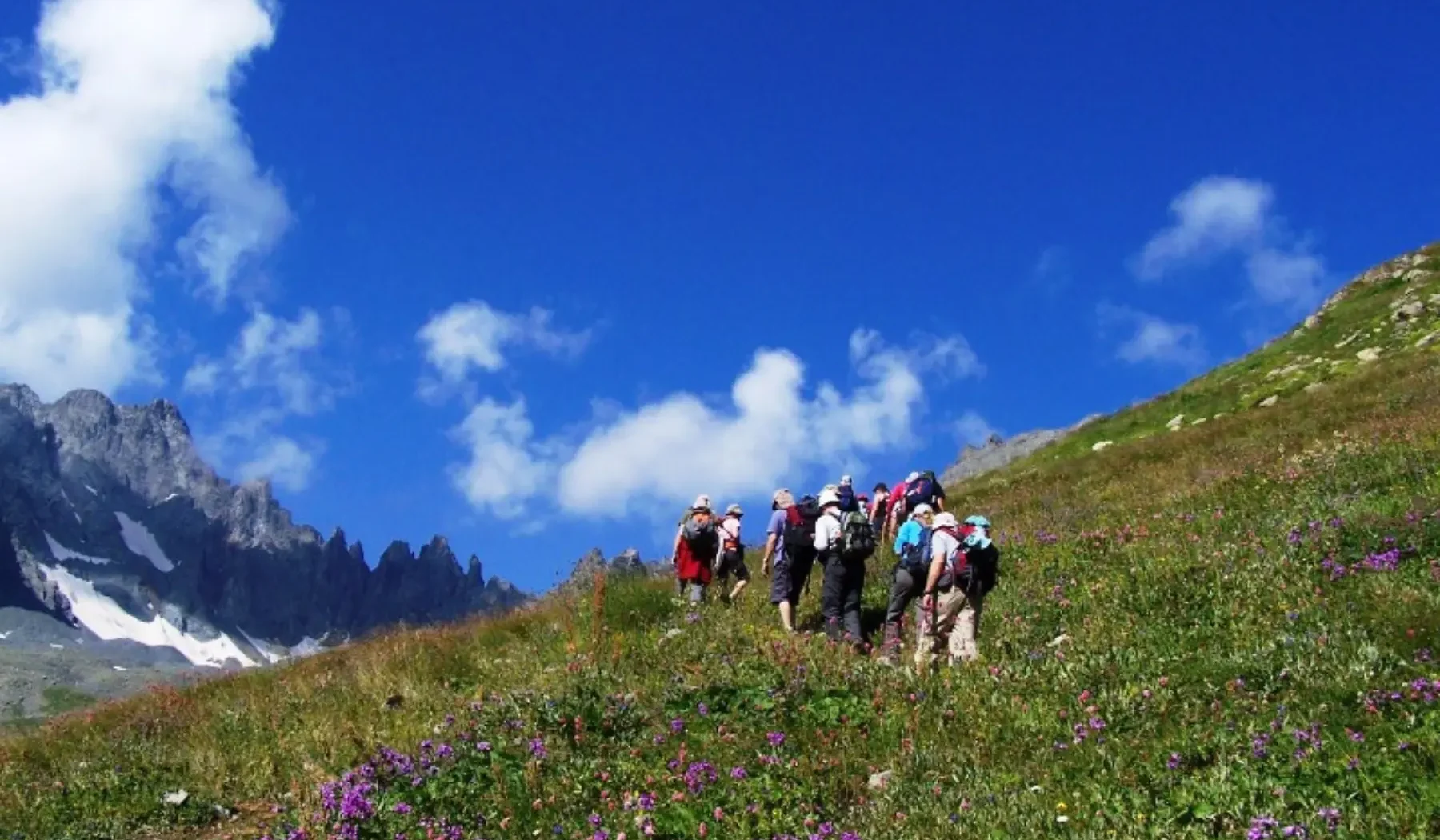 Peaks & Plateaus (8)