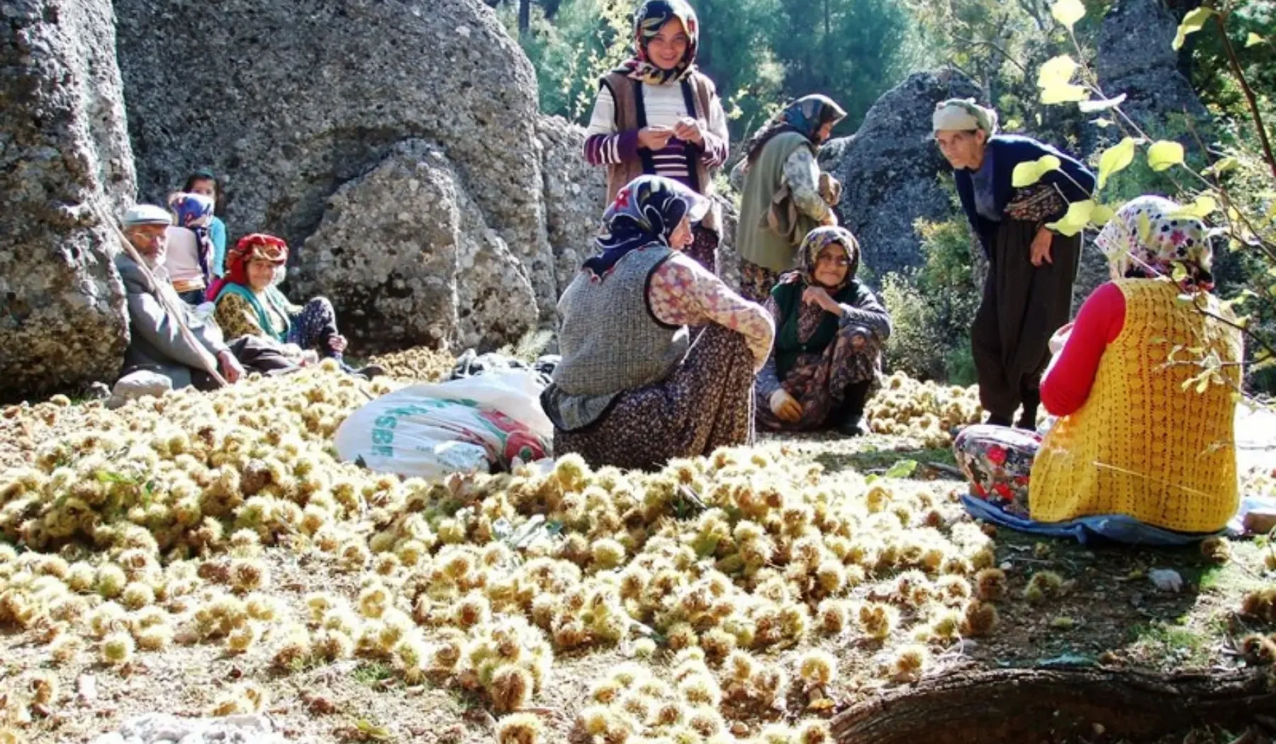 St. Paul Trail & Eastern Lycian (12)