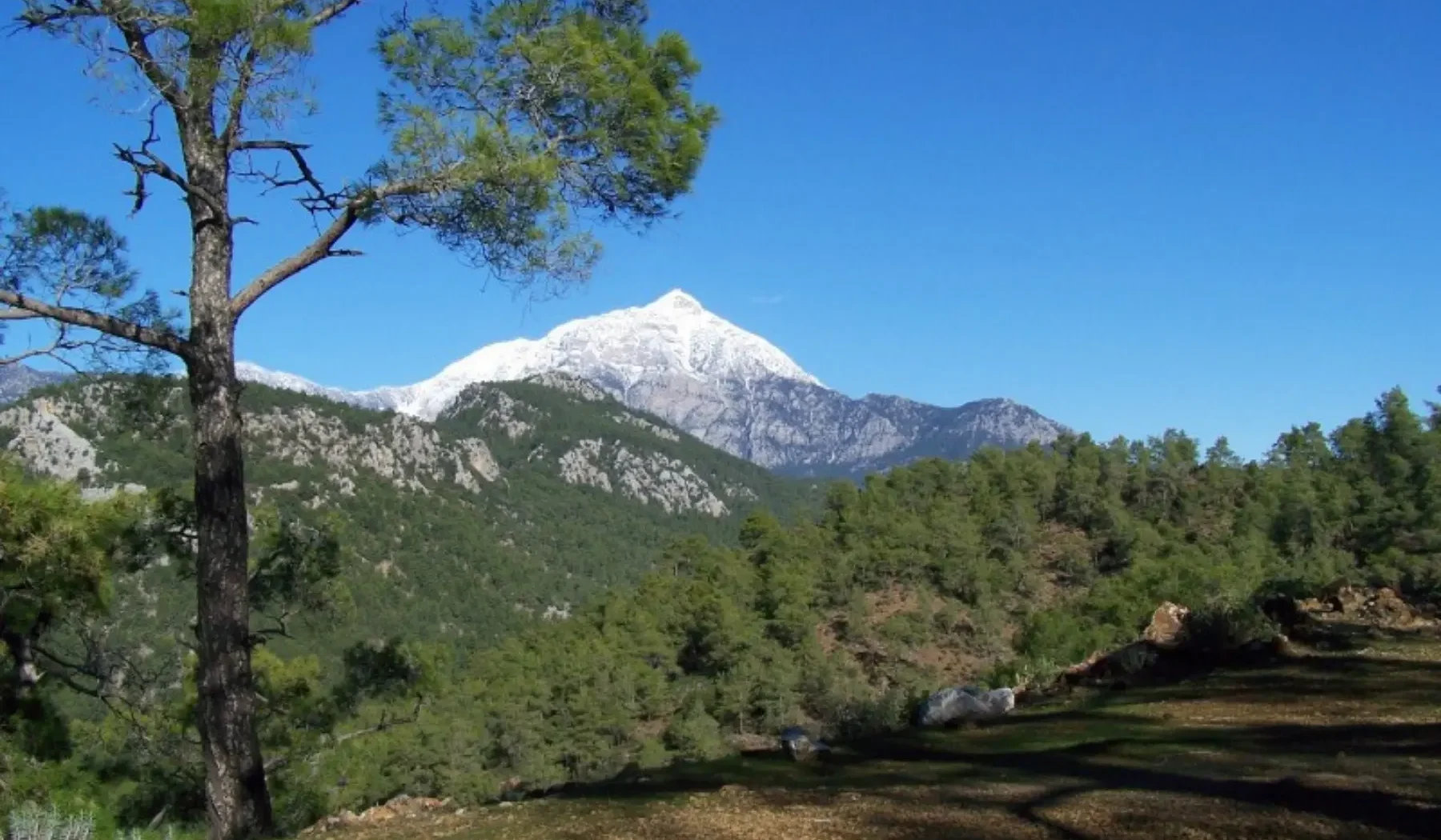 St. Paul Trail & Eastern Lycian (4)