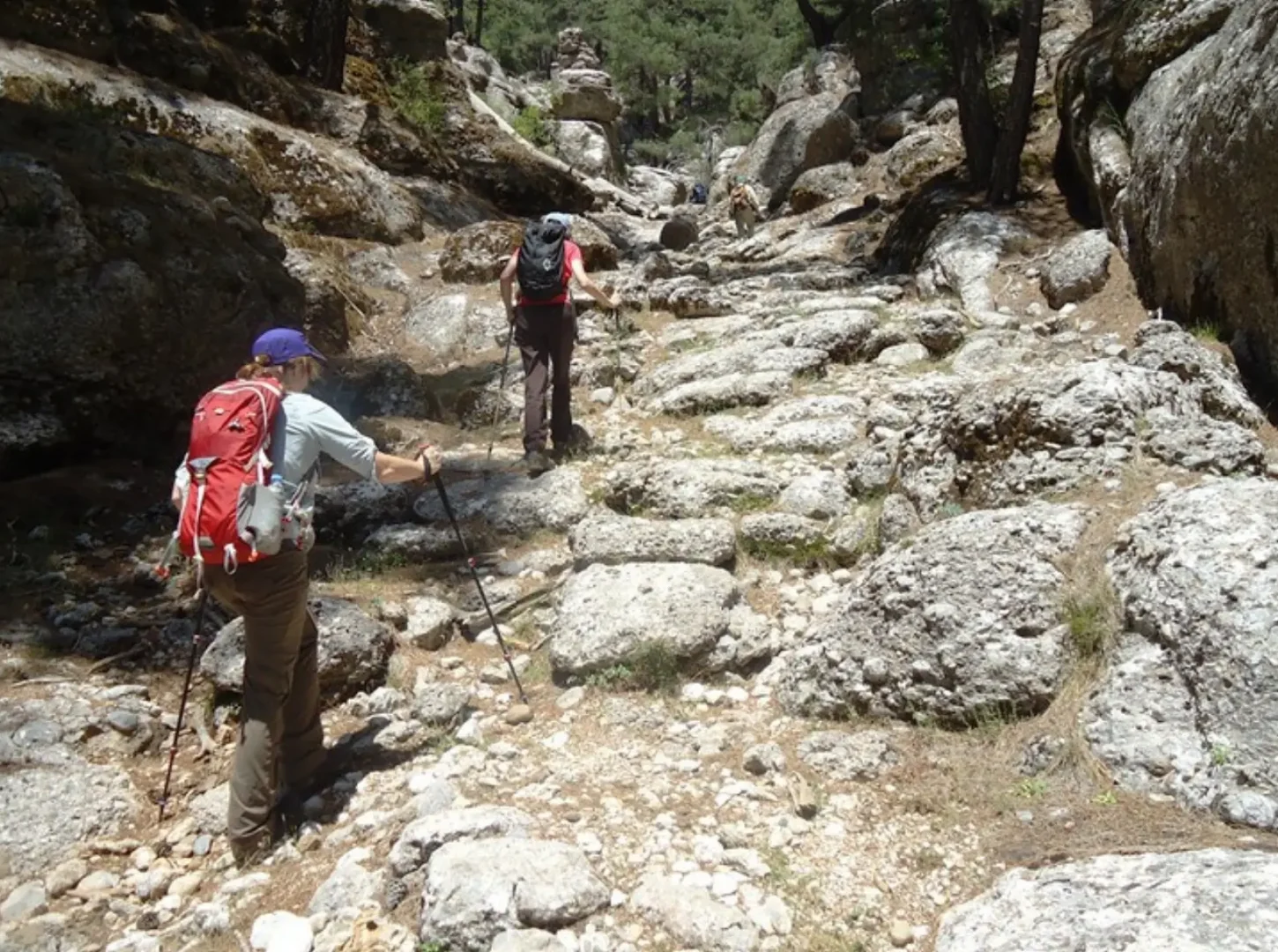 St. Paul Trail & Eastern Lycian (9)