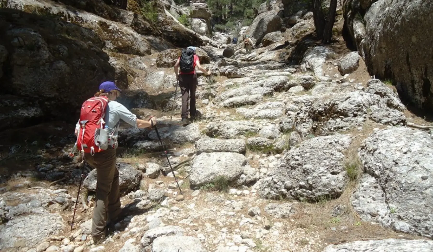 St. Paul Trail & Eastern Lycian (9)