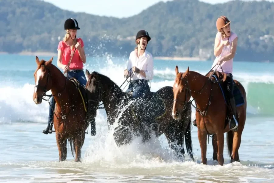 Lara Beach & Forrest Horse Riding Safari